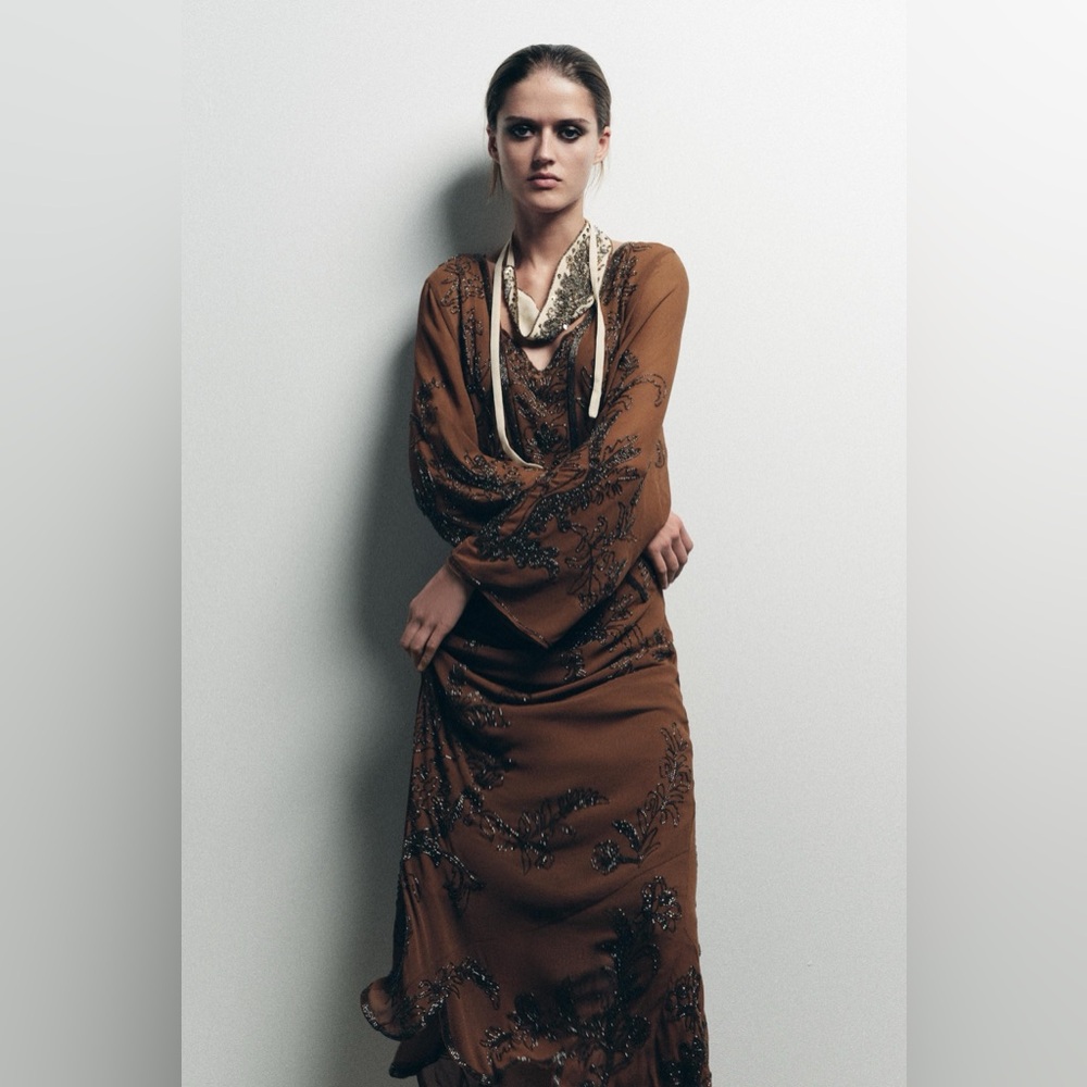 ZARA LIMITED EDITION BEADED GEORGETTE DRESS